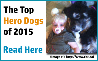 Hero dogs of 2015